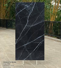 Gạch Tasa 90x180 bóng 9721