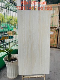 Gạch Tasa 60x120 Travertine mờ TBR 1477