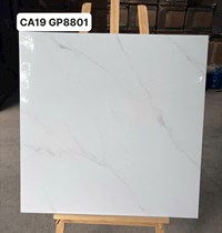 Gạch lát nền Viglacera 80x80 CA19 GP8801