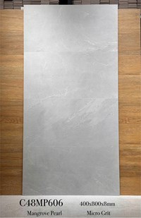 Gạch ốp tường Apodio 40x80 mờ C48MP606