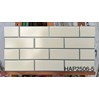 Gạch trang trí giá rẻ 25x50 HAP2506-5