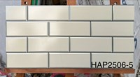 Gạch trang trí giá rẻ 25x50 HAP2506-5