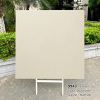 Gạch lát nền Tasa 100x100 mờ 9943
