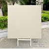 Gạch lát nền Tasa 100x100 mờ 9943