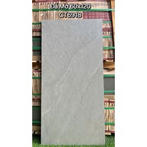Gạch ốp lát Á Mỹ 60x120 mờ CT6918