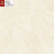 Gạch lát nền Prime 100x100 92011