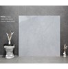 Gạch lát nền Tasa 120x120 9532