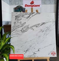 Gạch Đồng Tâm 8080DONGVAN006