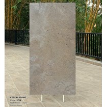 Gạch Tasa 90x180 bóng 9718