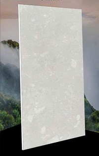 Gạch Vidona Mikado 60x120 mờ VD12606