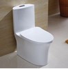 Bồn cầu 1 khối giá rẻ Skyhome