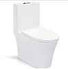 Bồn cầu 1 khối rẻ đẹp tốt 102