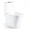 Bồn cầu 1 khối rẻ đẹp tốt N-859