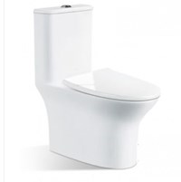 Bồn cầu 1 khối rẻ đẹp tốt N801