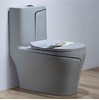 Bồn cầu khối cao cấp BS-8013