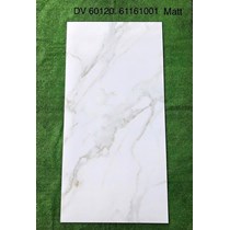 Gạch ốp lát Apodio 60x120 mờ 61161001
