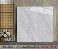 Gạch lát nền Catalan 100x100 10018