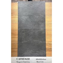 Gạch ốp tường Apodio 40x80 mờ C48MD608