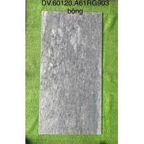 Gạch ốp lát Apodio 60x120 A61RG903