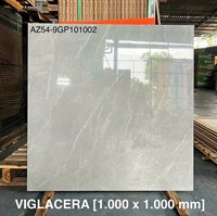 Gạch Viglacera 100x100 AZ54-9GP101002
