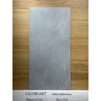 Gạch ốp lát Apodio 60x120 mờ C61MG607