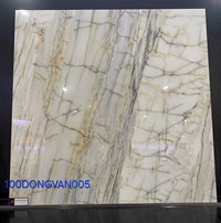 Gạch lát nền Đồng Tâm 100DONGVAN005