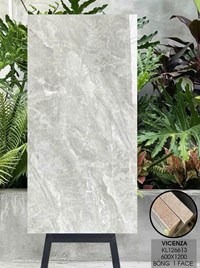 Gạch Vicenza 60x120 KL126613