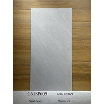 Gạch ốp lát Apodio 60x120 mờ C61SP609