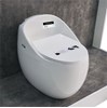 Combo bộ nhà tắm cao cấp 002 cầu trứng