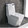 Combo bộ nhà tắm Luxury 15