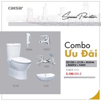 Combo thiết bị vệ sinh Caesar cầu 2 khối 08