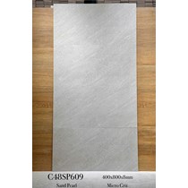 Gạch ốp tường Apodio 40x80 mờ C48SP609