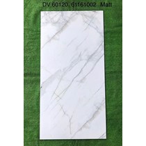 Gạch ốp lát Apodio 60x120 mờ 61161002