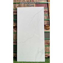 Gạch ốp lát Á Mỹ 60x120 CT6802