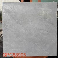 Gạch lát nền Taicera 80x80 GPC88905