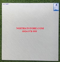 Đá bán sứ mờ Viglacera 60x60 VHP6605