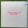 Đá bán sứ mờ Viglacera 60x60 VHP6605