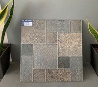 Đá bán sứ sân vườn 50x50 Viglacera BS 505