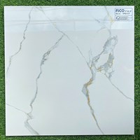 Đá bóng kính giá rẻ 600x600 FP6117