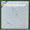 Đá bóng kính giá rẻ 600x600 MK6602N