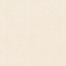 Đá bóng kính toàn phần Prime 80x80 8706