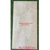 Đá đồng chất mờ Trung Quốc 60x120 HL12683