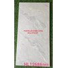 Đá đồng chất mờ Trung Quốc 60x120 HL12686