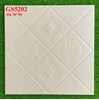 Đá lát sân vườn 50x50 GS5202