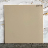 Đá lát sân vườn 50x50 LUX5000