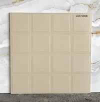 Đá lát sân vườn 50x50 LUX5008