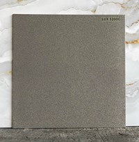 Đá lát sân vườn 50x50 LUX5200G