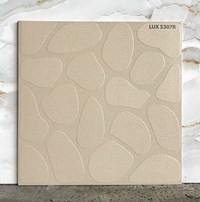 Đá lát sân vườn 50x50 LUX5307R