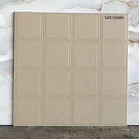 Đá lát sân vườn 50x50 LUX5308R