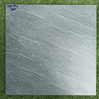Đá lát sân vườn 50x50 nhám NGP 551